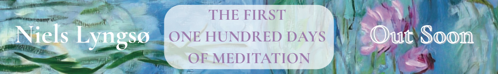 The First One Hundred Days of Meditation banner - out soon